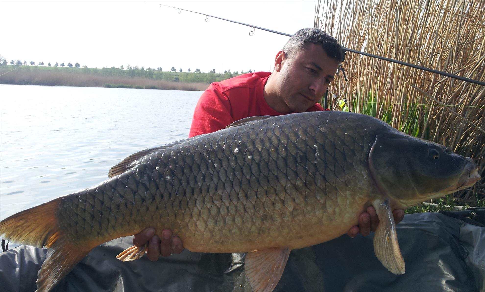 Tancabesti 21 - 22 aprilie 2014 - 20140422095452.jpg